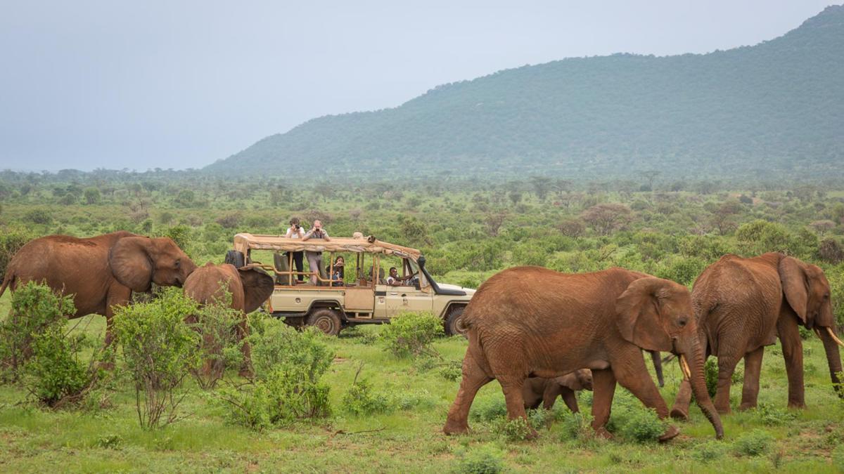 Elephant Bedroom Camp - Samburu Archers Post Exterior photo