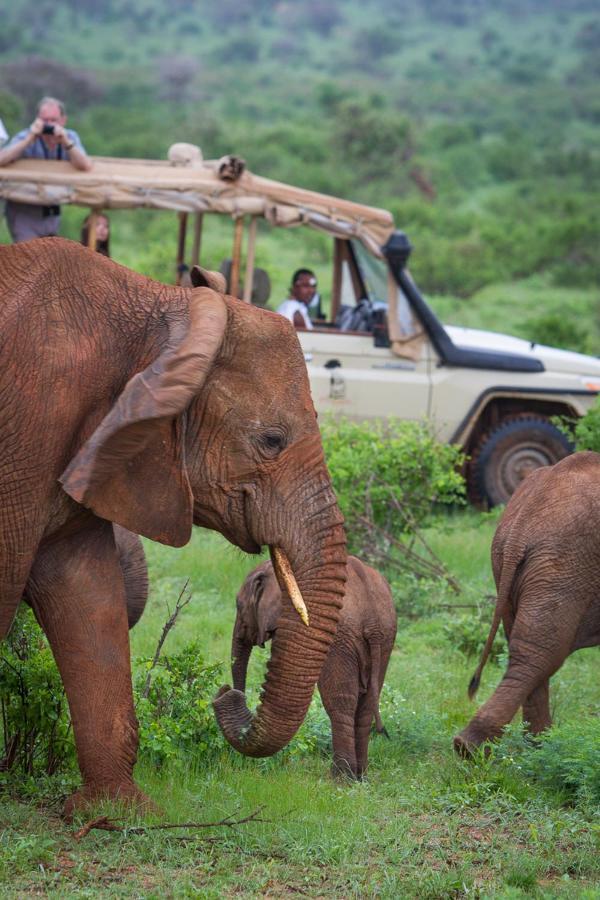 Elephant Bedroom Camp - Samburu Archers Post Exterior photo