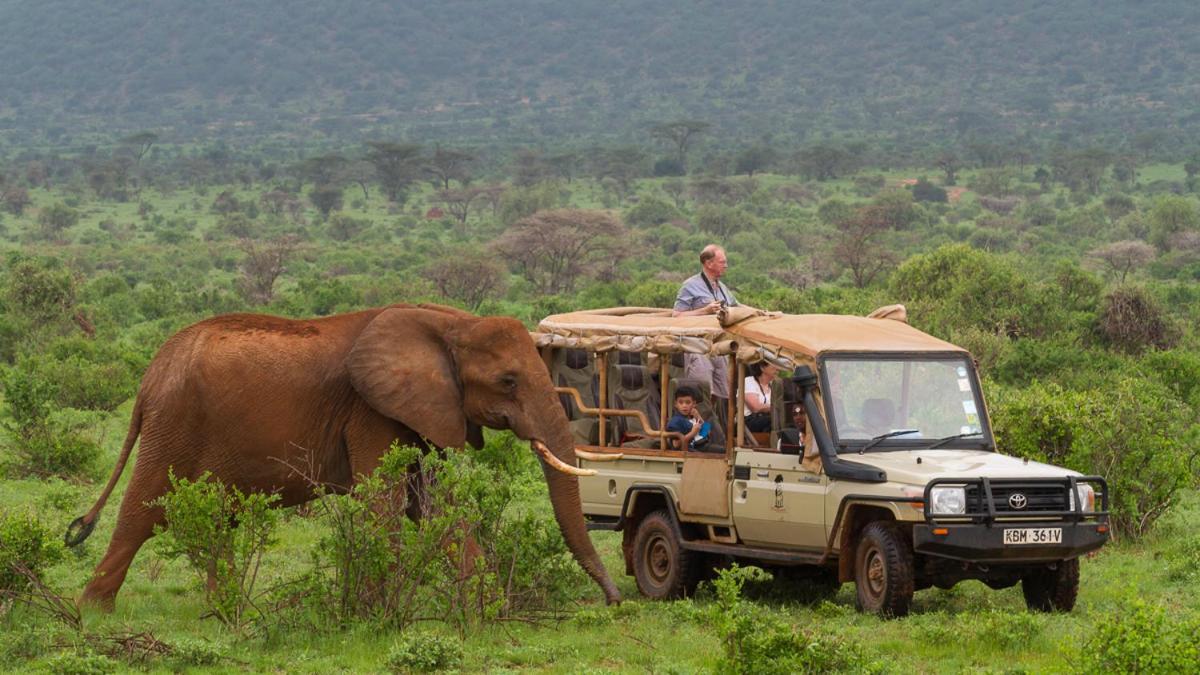 Elephant Bedroom Camp - Samburu Archers Post Exterior photo
